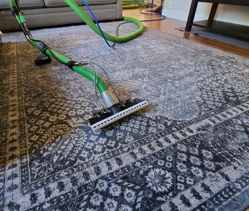 Rug Cleaning Brisbane