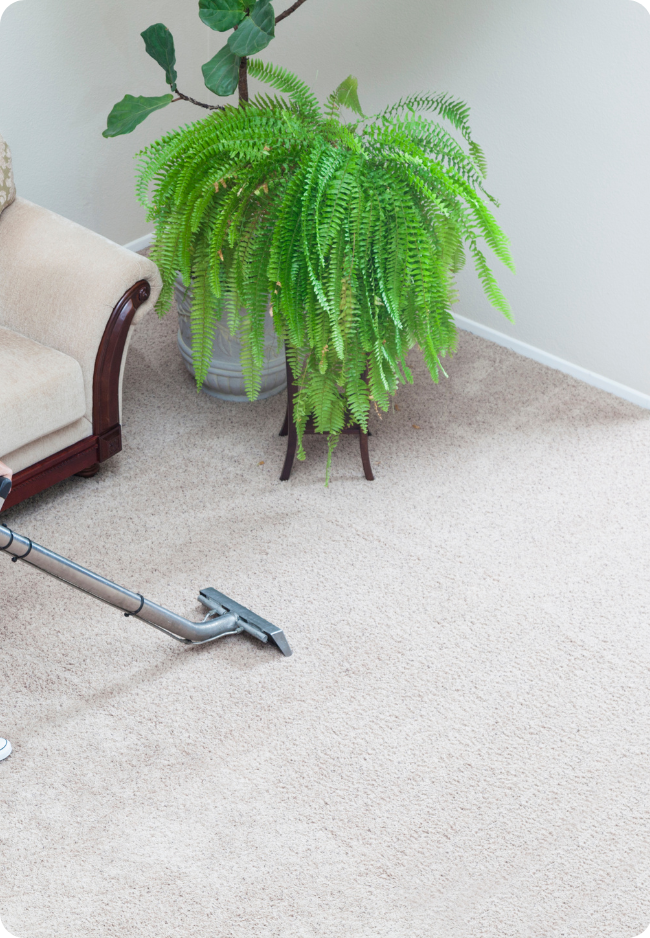 Carpet Cleaning Canberra