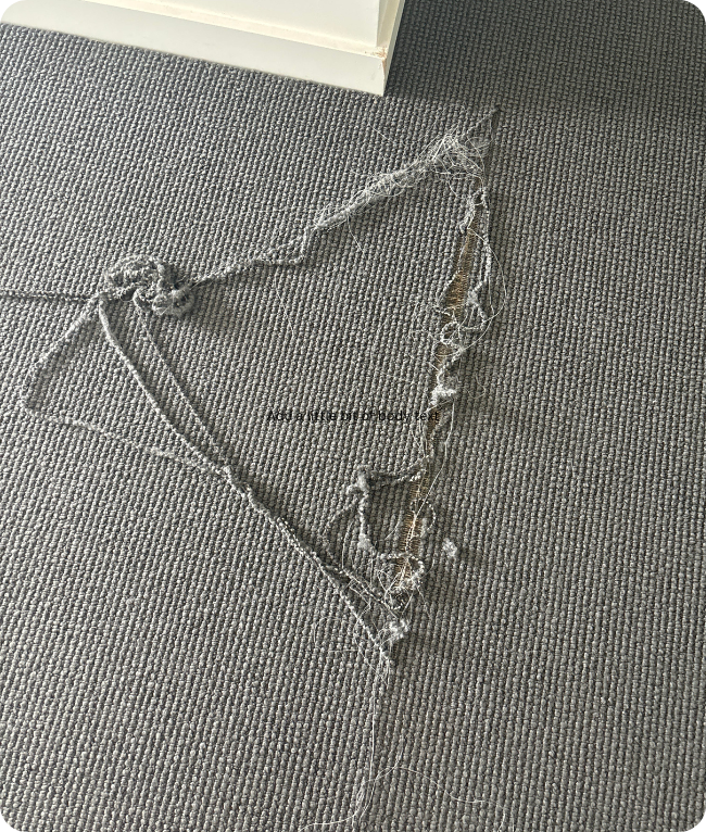 Carpet Repair Adelaide