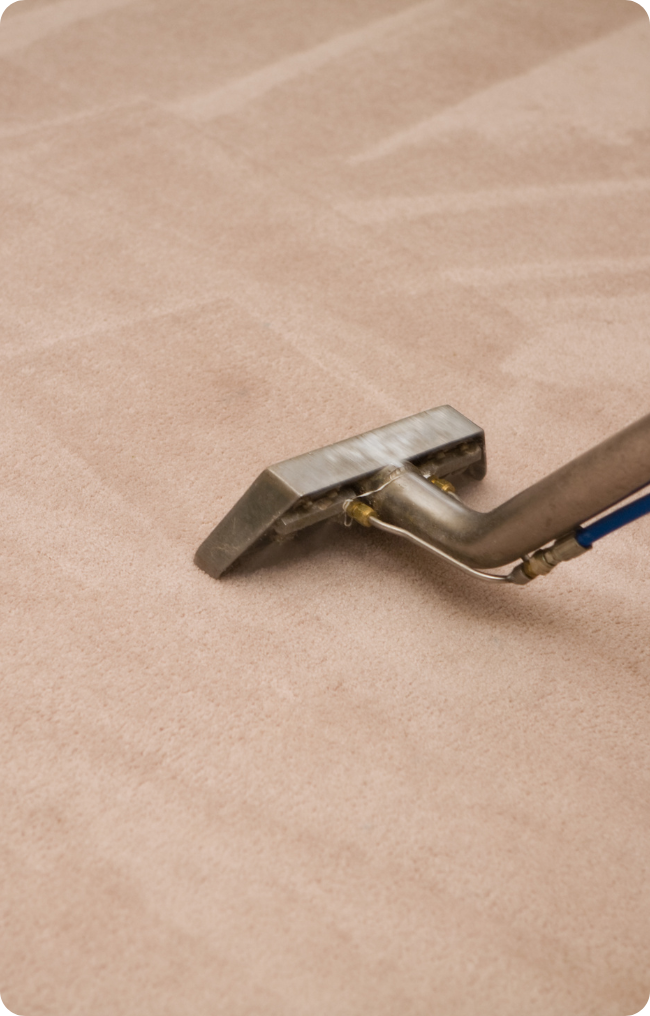 Cleaning Solutions