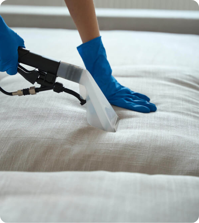 Couch Cleaning Adelaide