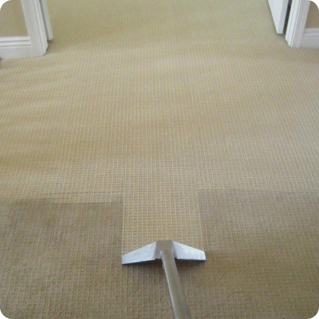 Professional Carpet Cleaning Sydney