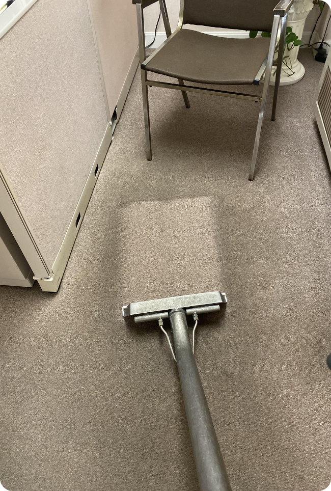 Professional Carpet Cleaning