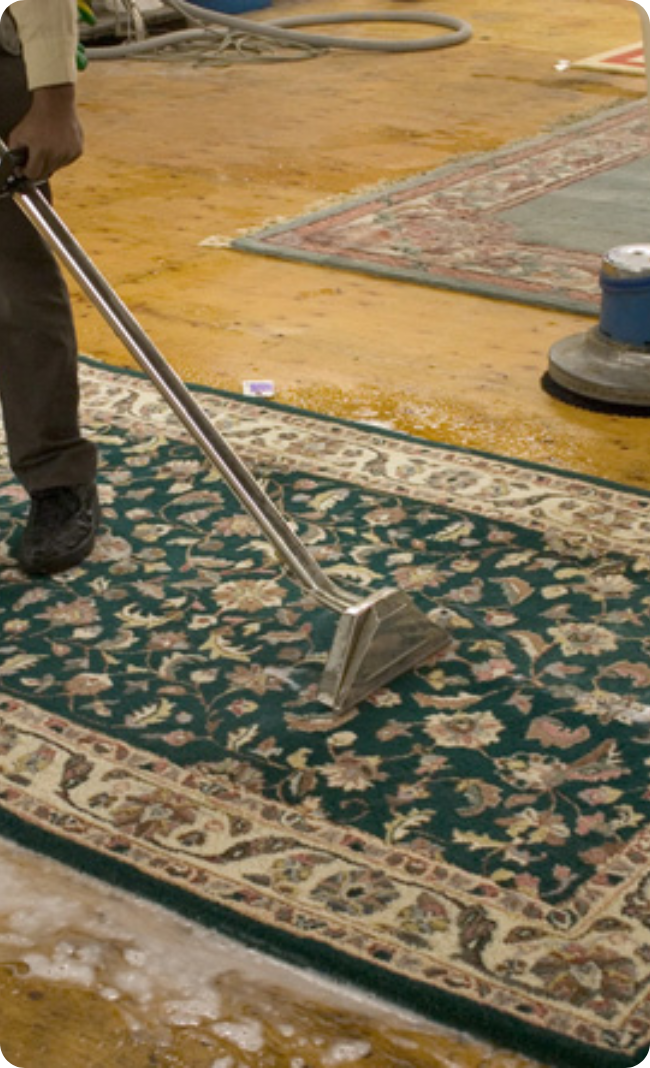 Rug Cleaning