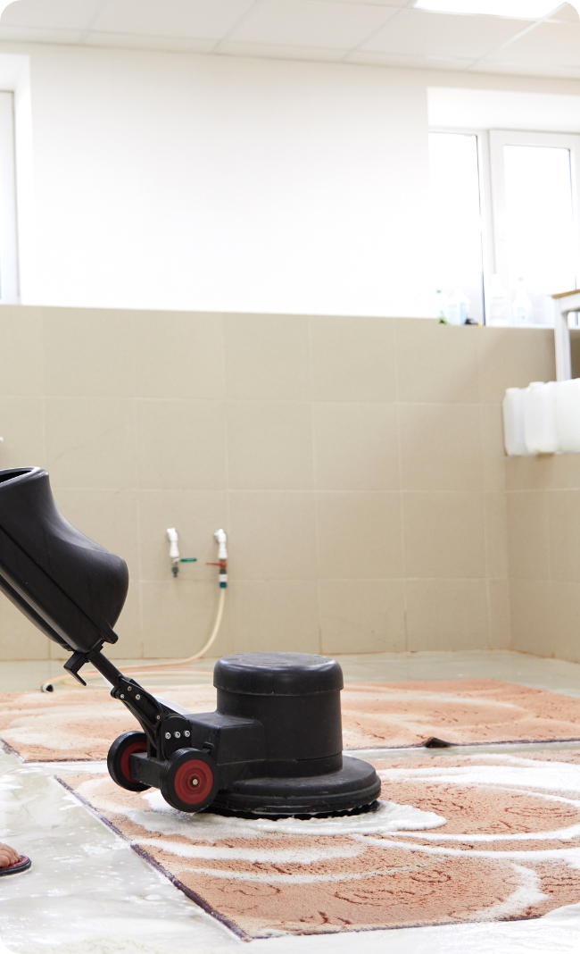 Rug Cleaning Adelaide