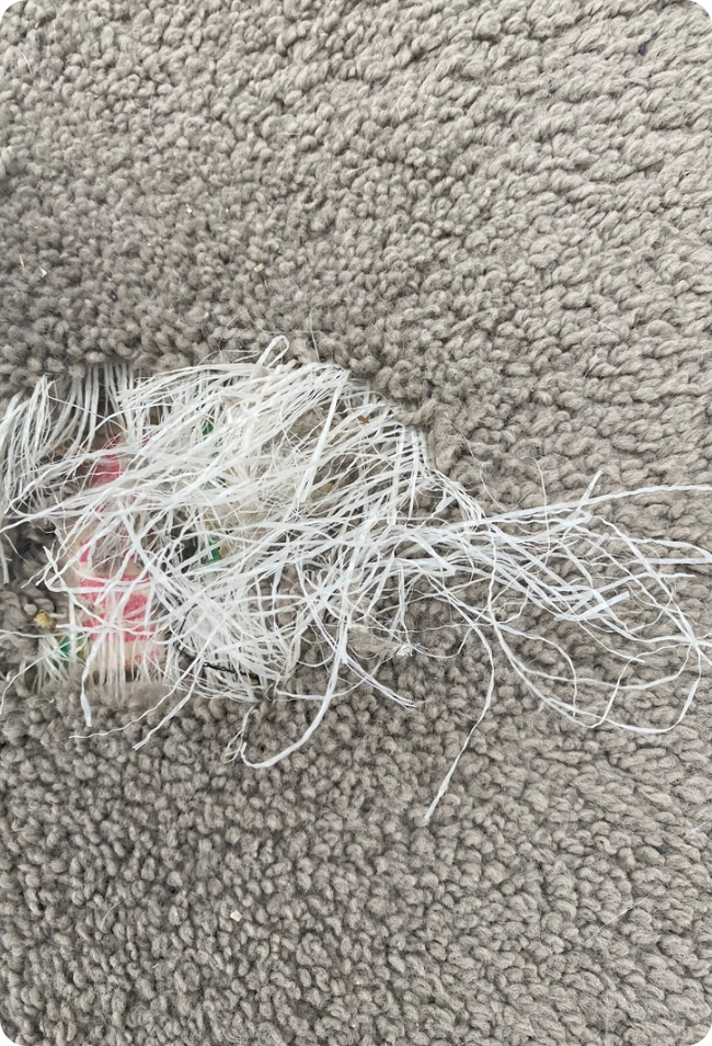 Carpet Repair in Melbourne