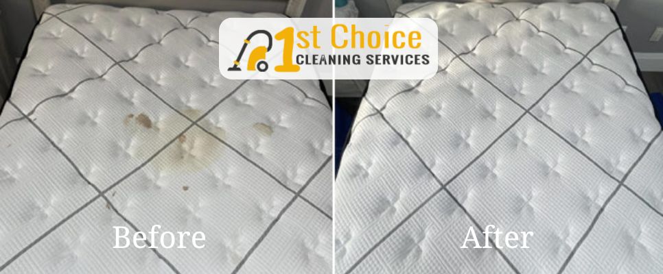 Our Mattress Cleaning Services